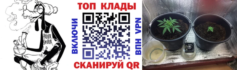 Купить наркотик Хабаровск Бошки Шишки  Cocaine  MEGA маркетплейс  Псилоцибиновые грибы  МЕФ  ГАШ 